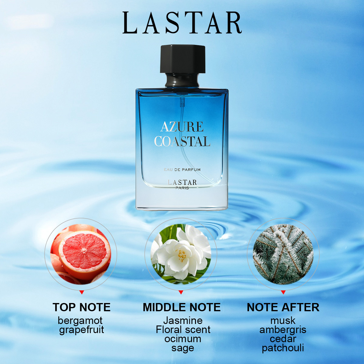 LASTAR Erkek Parfümü, Toplam 1 - Men'S Fashion Perfume incelemesi ve fiyatı